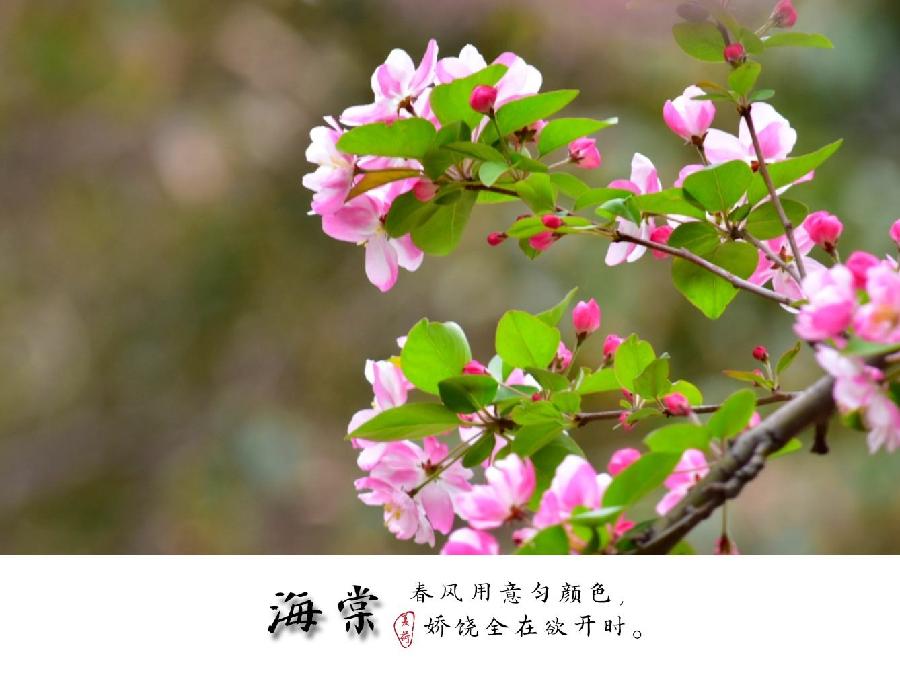 石炭井釆风专题(诗词三首)文/聂朋群