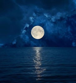 《月夜——我那辽远的天河湾》作者春之声；诵读静远编辑宋梅【中国长江文学社】有声文学平台第3569期（图5）