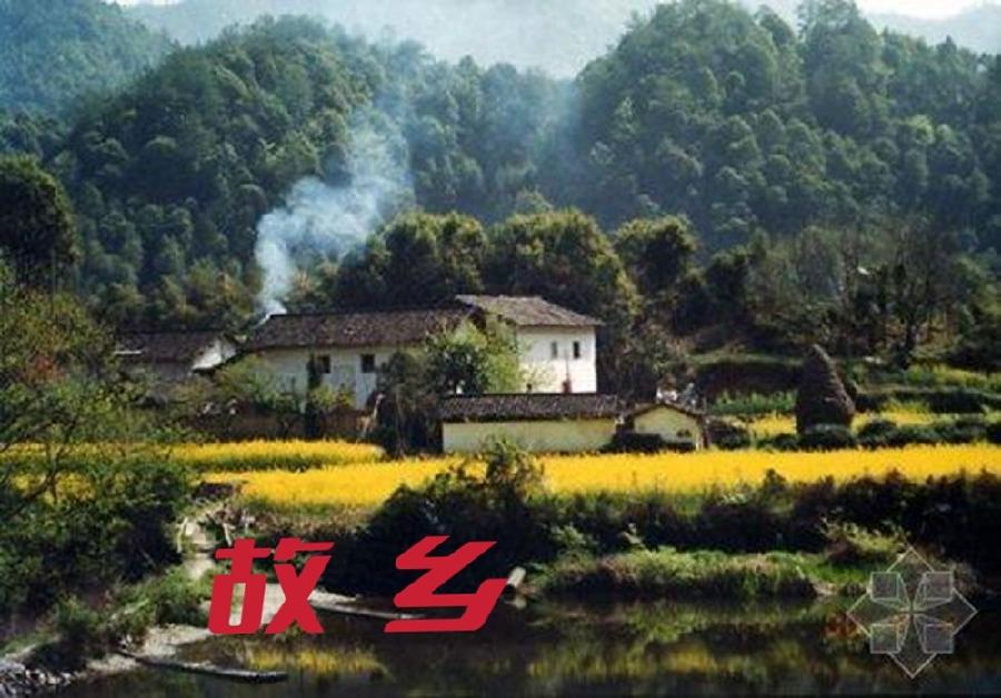 【经典推荐】杨武军//家乡的油菜花｛欣赏｝（图4）