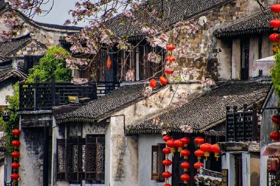 《七绝·观二乔玉兰怀古》作者薛有毅；主播：茵茵;编辑：宋梅【中国长江文学社】有声文学平台第3572期（图5）