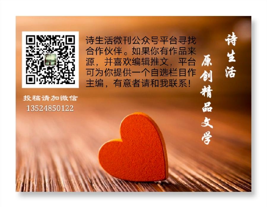 【诗生活】蒲公英‖听雨（图3）