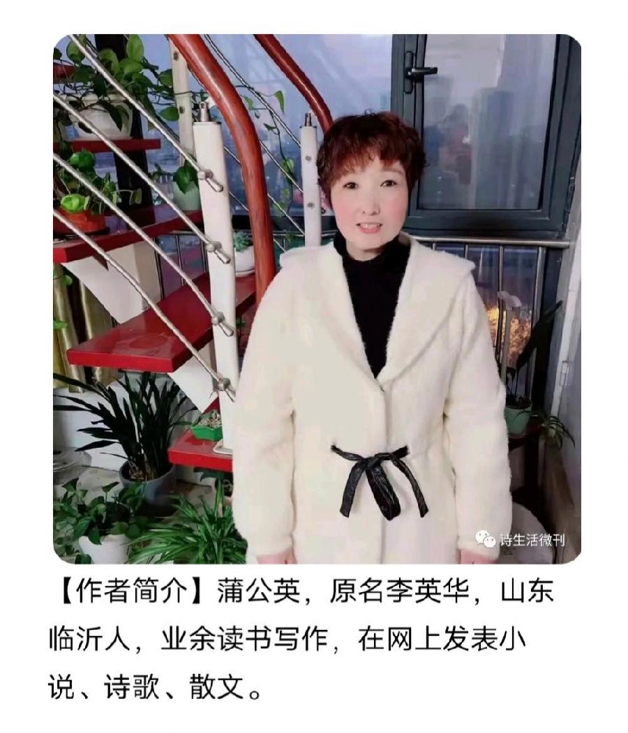 【诗生活】蒲公英‖听雨（图2）