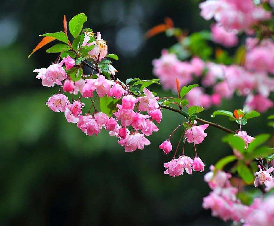春情呓语：作者 东边日出｜海外头条（图3）