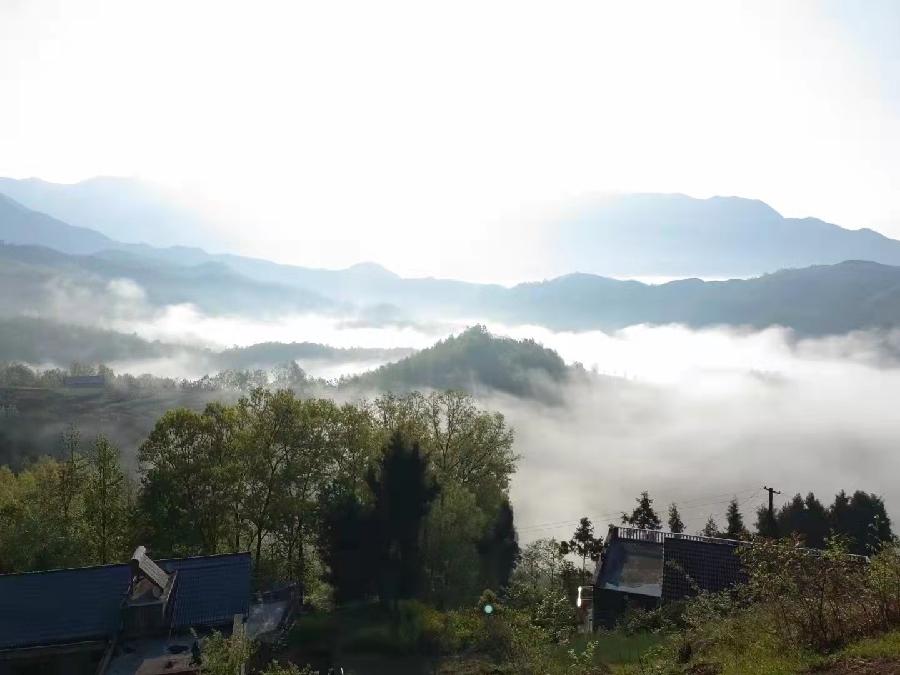 鹧鸪天·春景 词‖秋韵康（图3）