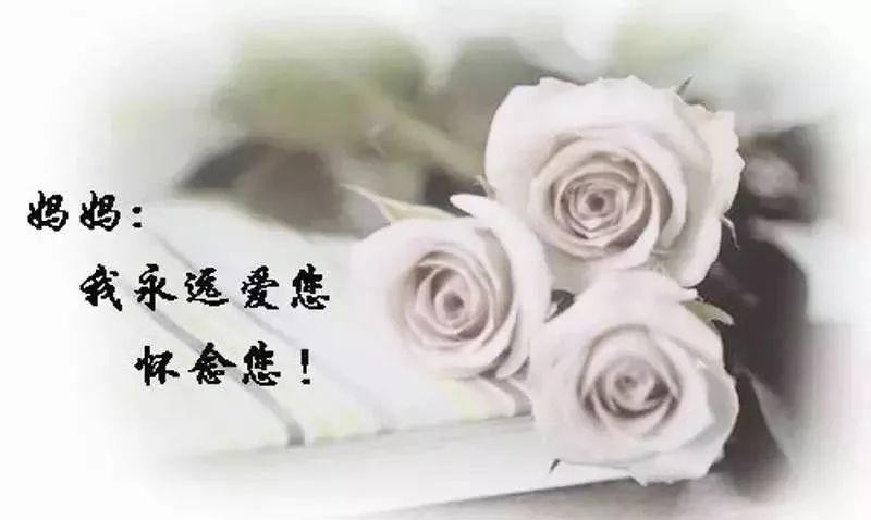 清明*回忆母亲 作者 徐大屏(甘肃永登)【冰心文化传媒】(图3)