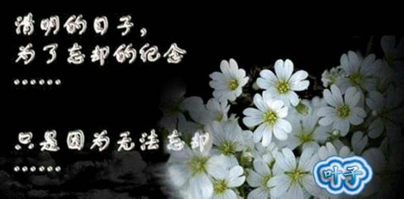 清明*回忆母亲 作者 徐大屏(甘肃永登)【冰心文化传媒】(图4)