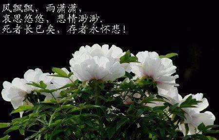 清明*回忆母亲 作者 徐大屏(甘肃永登)【冰心文化传媒】(图5)