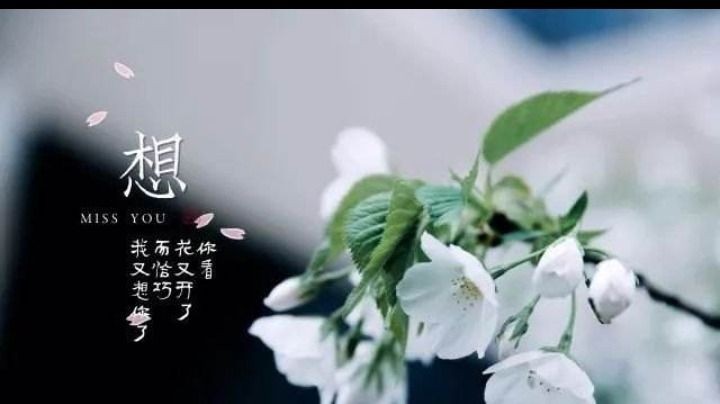 清明*回忆母亲 作者 徐大屏(甘肃永登)【冰心文化传媒】(图7)