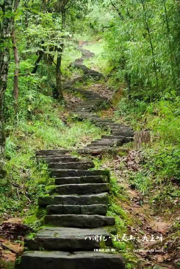 【北美翰苑】海燕国际艺术传媒联合推出‖《我的路》唐闹闹（美国）的作品（三十七）（图5）