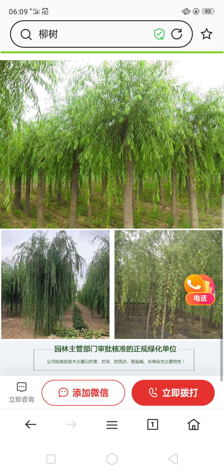 寒食节吟