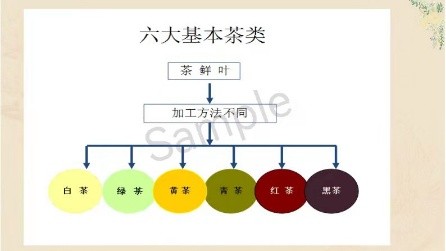 金色岁月公益群邀请国家高级茶艺师梁彤老师讲座 ——茶与养生 作者/诵读/海水清清（图6）