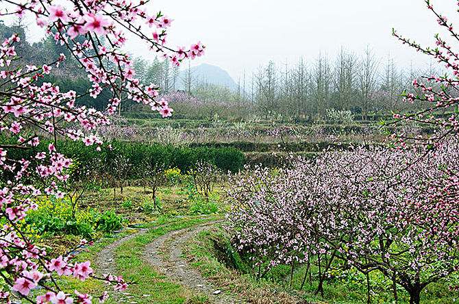 青岛聆泉诗社042期｜春赋小吟六十四首（图15）