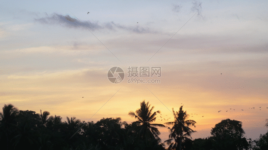 【潇湘文学社】潇湘问梅诗社《黄昏》（总306期）（图27）