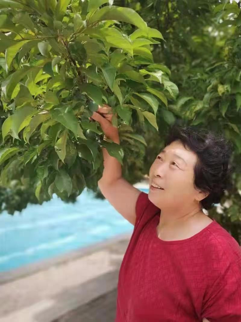 怀念我的父亲 红霞(辽宁)京津沪头条(图2)