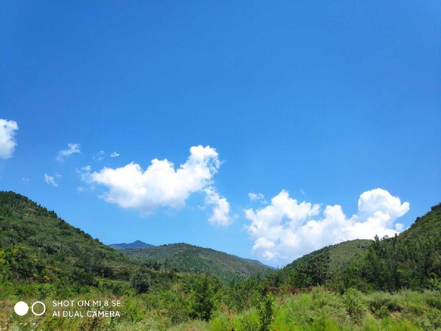 清明吟（图4）
