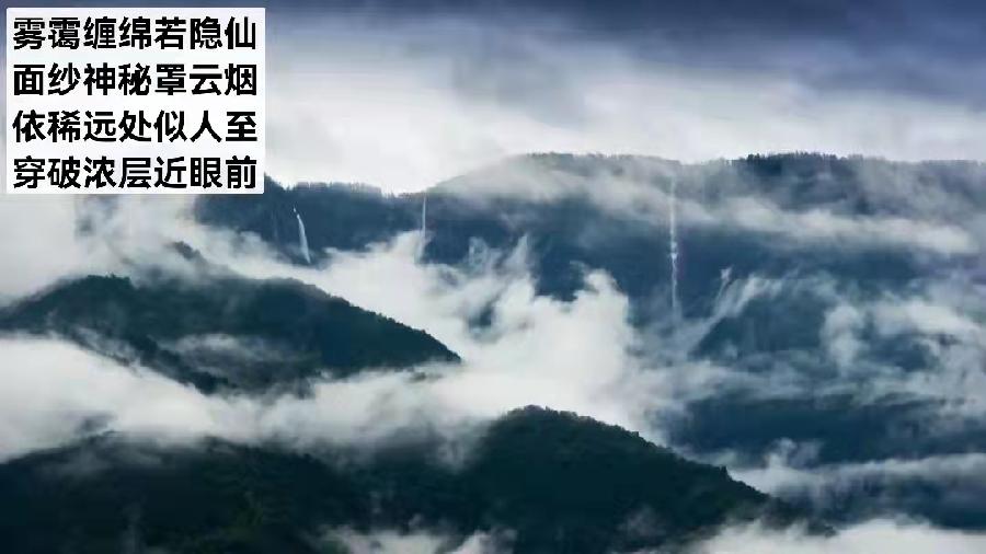 题图二首 文/小茶一丛（图3）