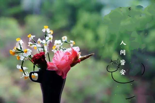 朗诵诗：愿望 作者/毓影 主播/烛光（图3）