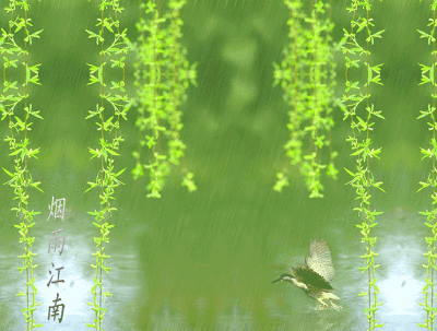 《清明忆母》 文/李加宝
