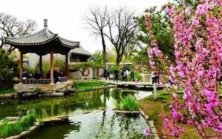 《在春天柔软的时光里》作者/庆福 主播/铃儿响叮当 编辑/胡琴(图4)