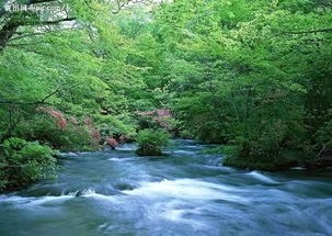 《在春天柔软的时光里》作者/庆福 主播/铃儿响叮当 编辑/胡琴（图2）