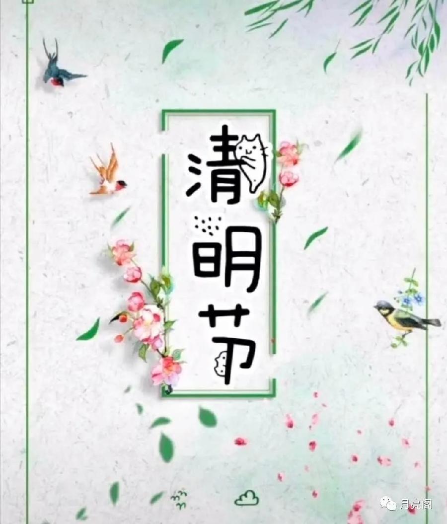 心尘文艺 第509期