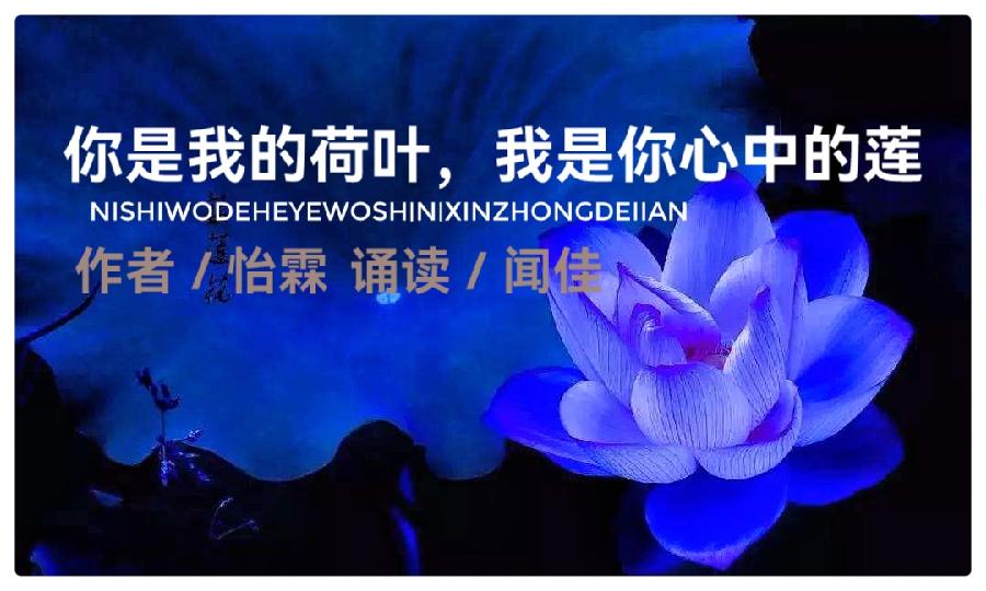 《安息吧，逝去的爱》作者ll怡霖ll全国十大小说演播艺术家王波&闻佳深情演绎，动人心魄（图4）