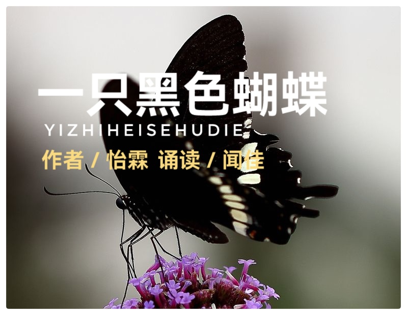 《安息吧，逝去的爱》作者ll怡霖ll全国十大小说演播艺术家王波&闻佳深情演绎，动人心魄（图6）