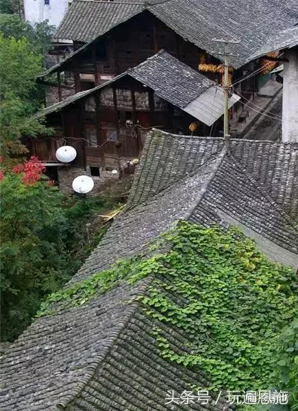 《老屋》作者：华伯均;主播：山涧红枫;编辑：宋梅【中国长江文学社】有声文学平台第3585期（图4）
