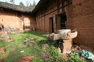 《老屋》作者：华伯均;主播：山涧红枫;编辑：宋梅【中国长江文学社】有声文学平台第3585期（图6）