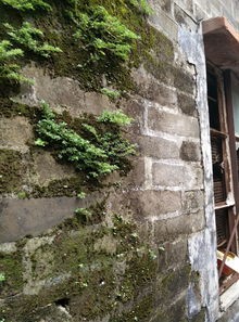《老屋》作者：华伯均;主播：山涧红枫;编辑：宋梅【中国长江文学社】有声文学平台第3585期（图5）