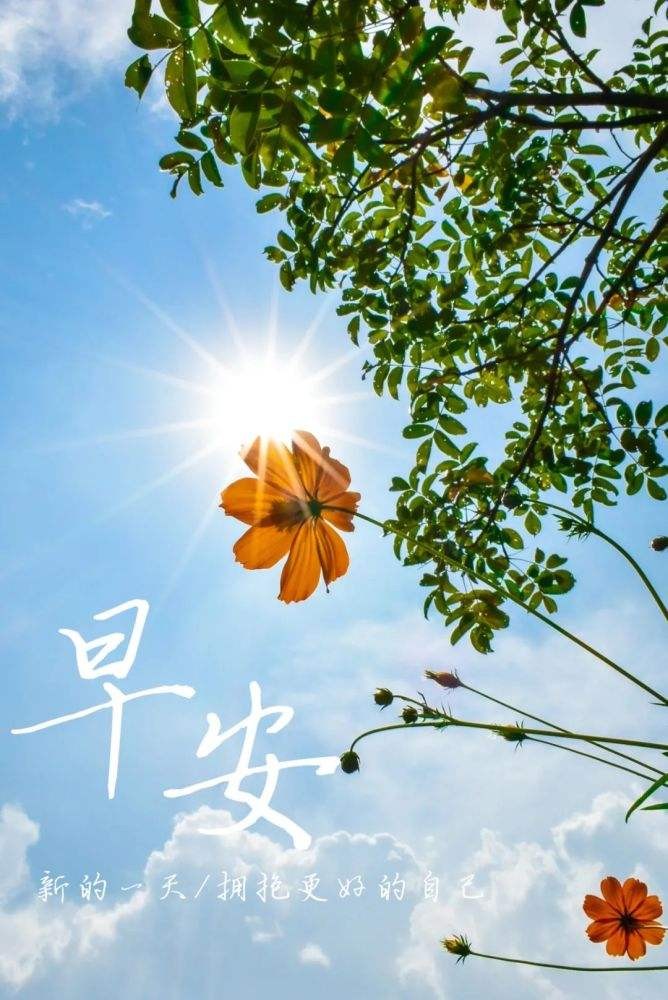 【诗歌专辑四】文/程宝玉（内蒙古）【冰心文化传媒】主编冰心（图40）
