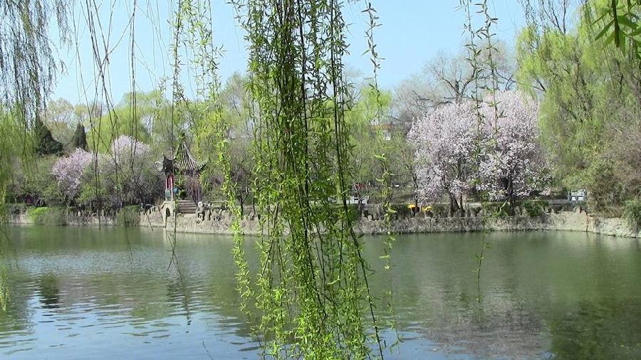 〔诗词小辑〕作者 王新华(河北)【冰心文化传媒】(图4)