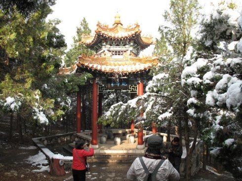 〔诗词小辑〕作者 王新华(河北)【冰心文化传媒】(图6)