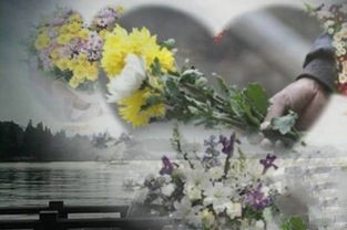 《清明》作者/庆福 主播/山谷幽兰 编辑/胡琴（图4）