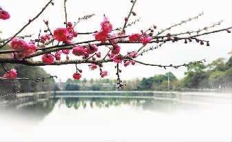 〔诗词小辑〕作者 王新华（河北）【冰心文化传媒】（图3）