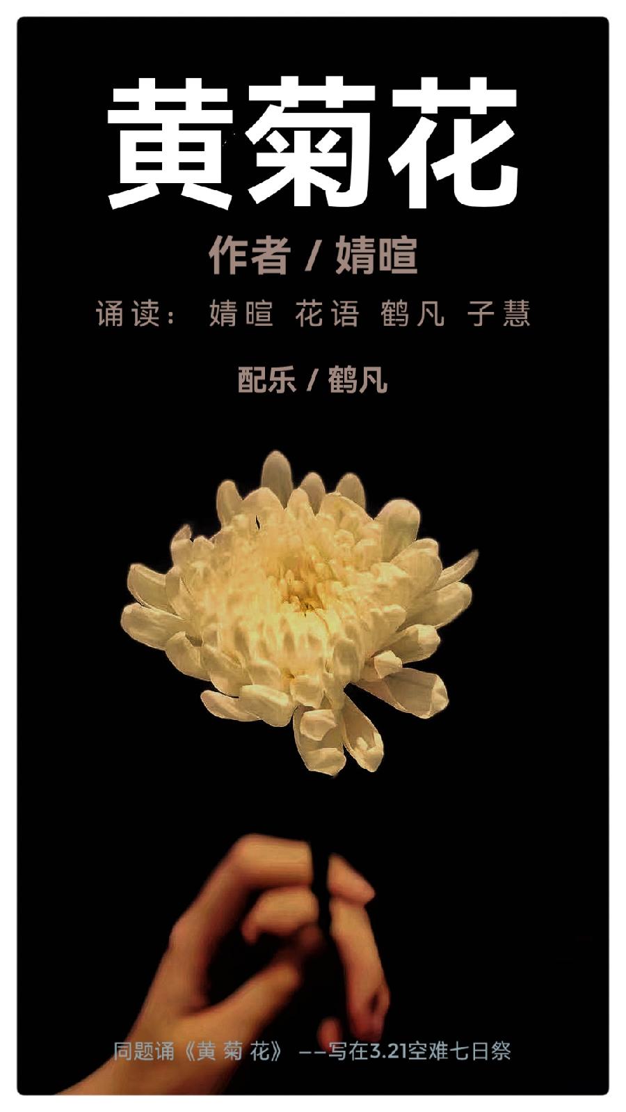 婧暄诗歌选读ll黄菊花ll同题诵 婧暄 花语 鹤凡 子慧(图2)
