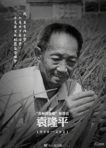 《清明节 我想对您说》作者:江花(北京)世界诗人名人展(8423)(图6)
