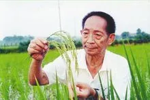 《清明节 我想对您说》作者:江花(北京)世界诗人名人展(8423)(图7)