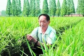 《清明节 我想对您说》作者:江花(北京)世界诗人名人展(8423)(图10)
