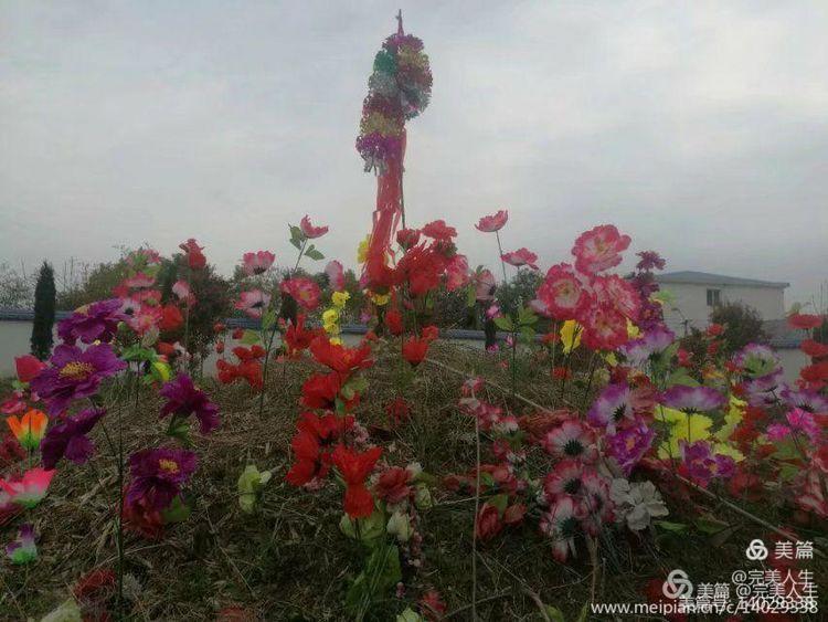 【清明时节祭双亲】文/完美人生～中华诗艺九江格律诗社推送！（图9）