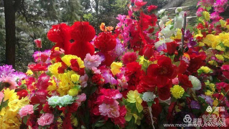 【清明时节祭双亲】文/完美人生～中华诗艺九江格律诗社推送！（图10）