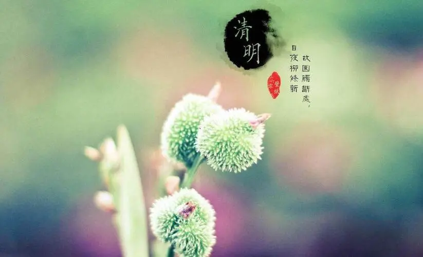 [桃源特刊]清明之现代诗|作者:桃源诗友|本期审核:蓝精灵[总1091期]（图8）