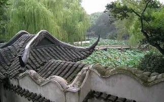 《诗人三写菱湖,只为那次美丽的邂逅》作者/高圣杰 编辑/胡琴(图2)