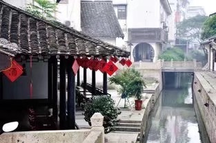 《诗人三写菱湖,只为那次美丽的邂逅》作者/高圣杰 编辑/胡琴(图3)