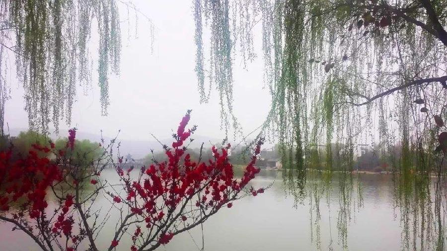 〔诗词小辑〕作者 江姐（内蒙古）【冰心文化传媒】制作 冰心（图16）