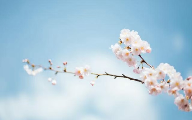 《江南诗絮-清明特刊》(图22)