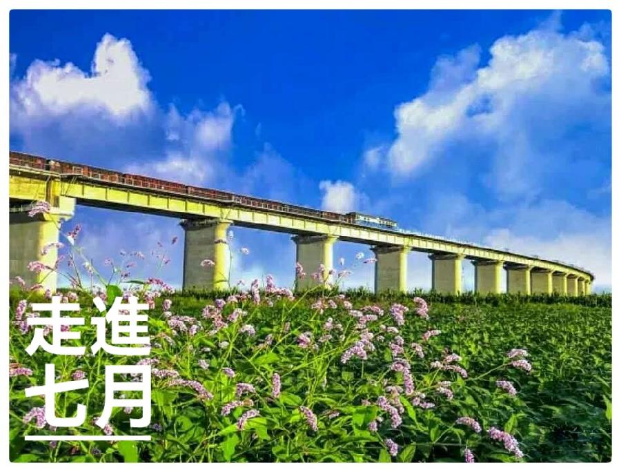 吴明辉诗歌选读ll走进七月ll诵读 艾果ll摄影 老菩提(图6)