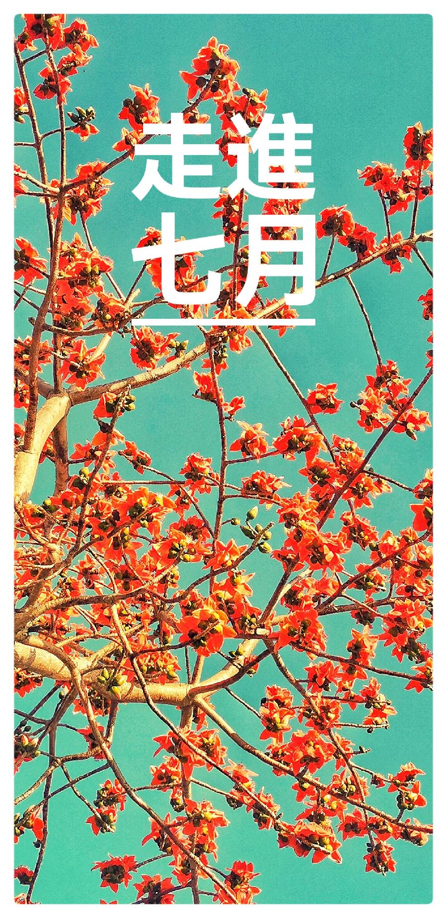 吴明辉诗歌选读ll走进七月ll诵读 艾果ll摄影 老菩提(图7)