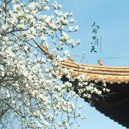 【诗生活】张扬‖人间四月天