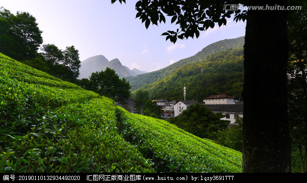《神农架游吟一组》作者：胡忠泉（图3）
